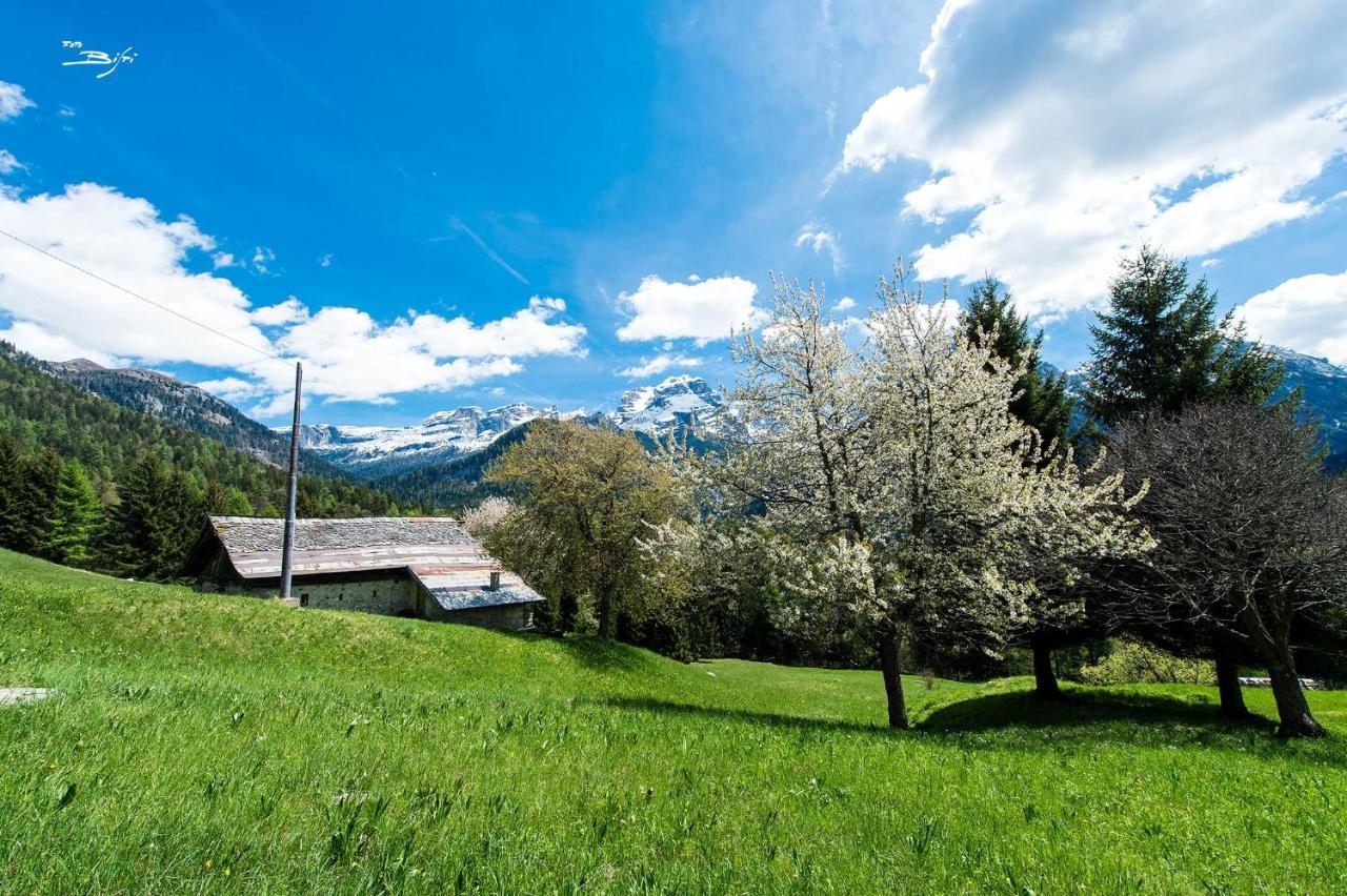 Olympic Regina Hotel Pinzolo Exterior foto