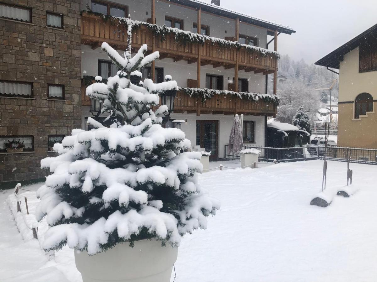 Olympic Regina Hotel Pinzolo Exterior foto